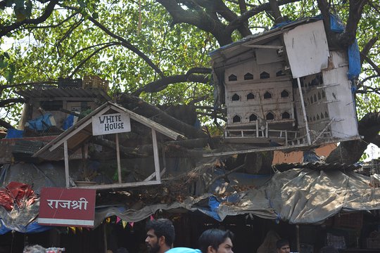 Tour image 10